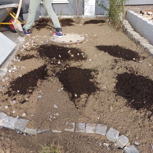 2_Nach Einarbeitung Sand_Kompost vor Einarbeitung