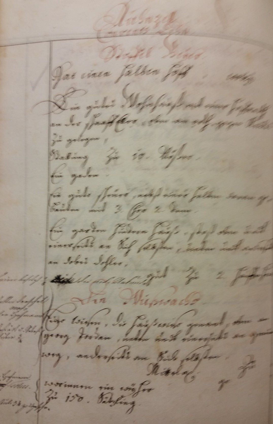 Auszug_Urkunde aus dem Saalbuch von 1708