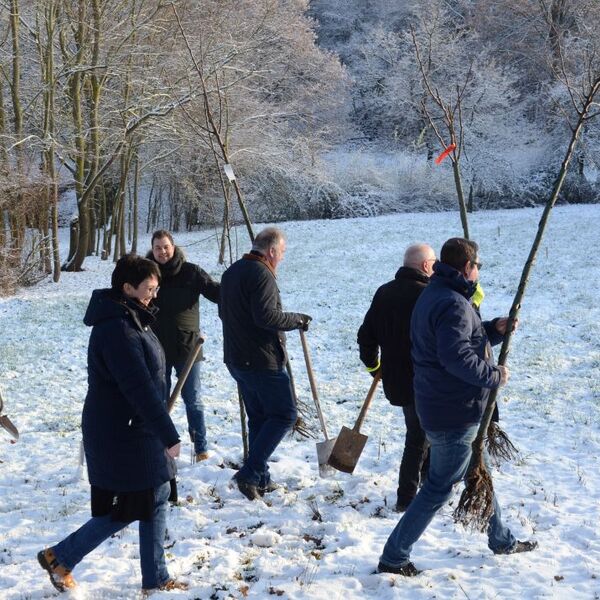 Baumpflanzaktion im Grezzbachpark 10