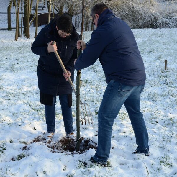 Baumpflanzaktion im Grezzbachpark 13