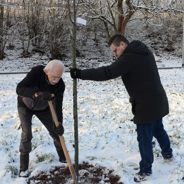 Baumpflanzaktion im Grezzbachpark 18