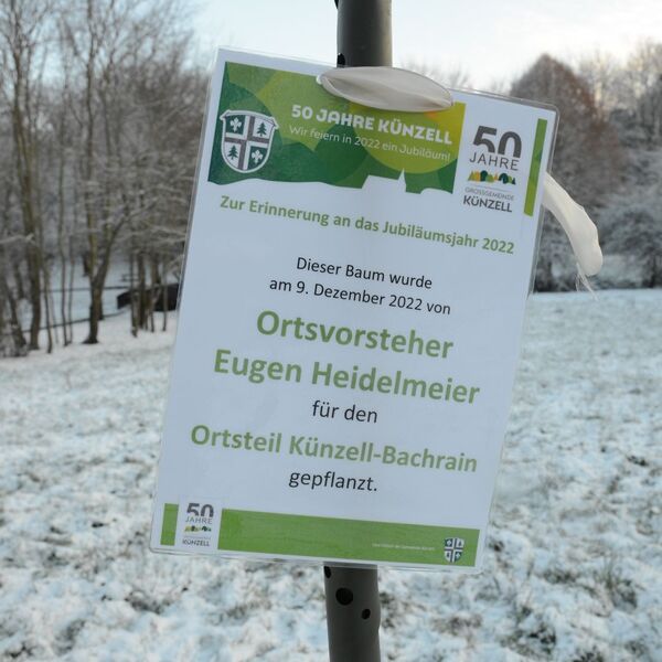 Baumpflanzaktion im Grezzbachpark 19