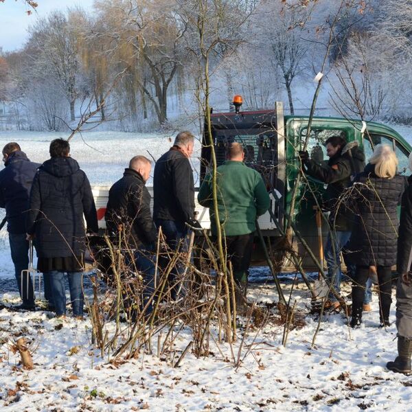 Baumpflanzaktion im Grezzbachpark 8