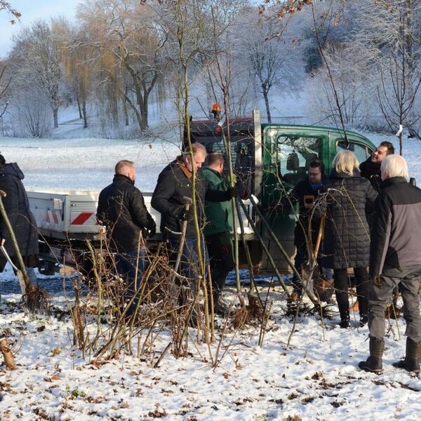 Baumpflanzaktion im Grezzbachpark 9