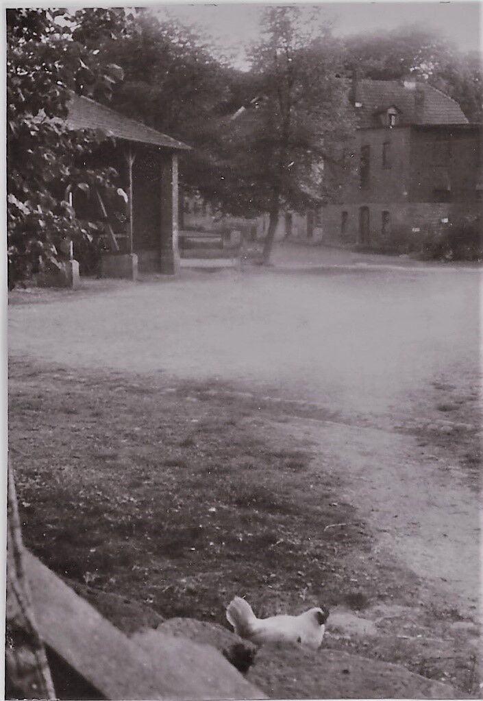 Blick auf die Grezzbachstraße, Hahlweg und Gutshof