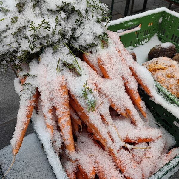 Bürgerfest im Schneegestöber 1