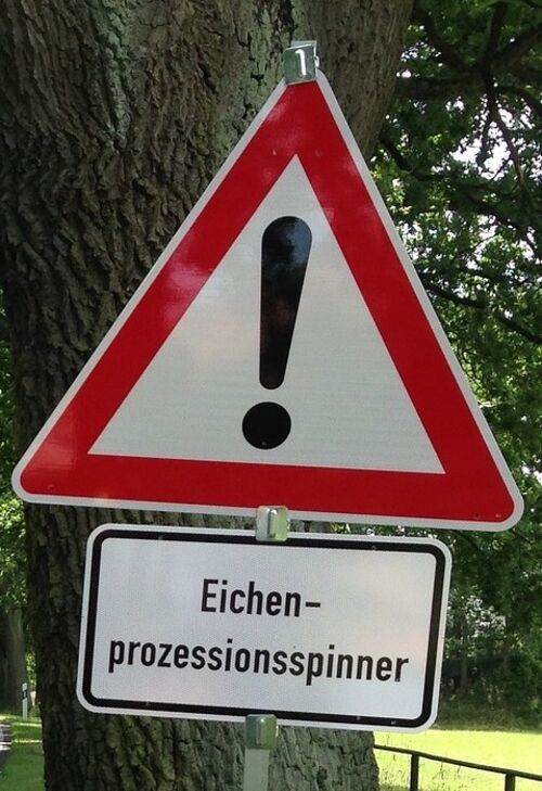Eichenprozessionsspinner_Schild.png