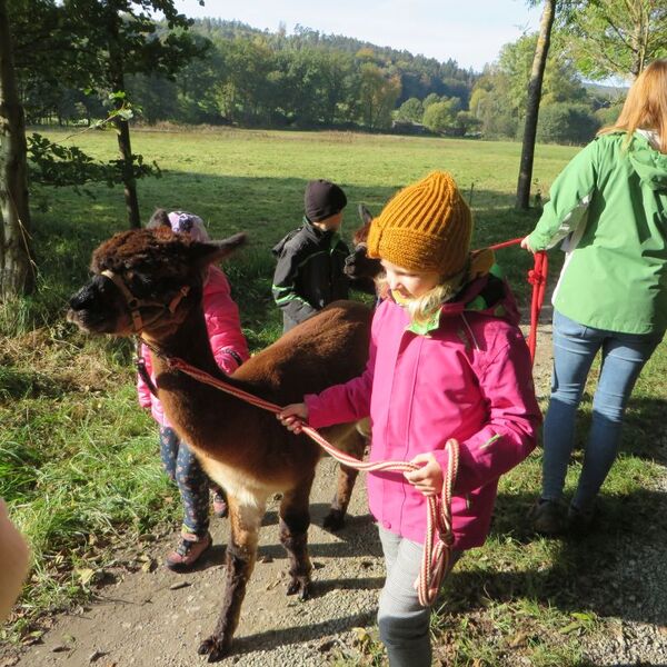 Ferienaktivwochen Herbst 2021 Foto Nr. 30