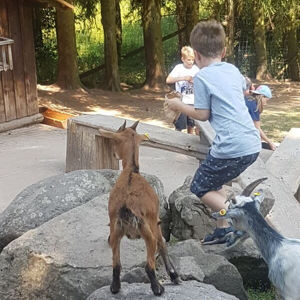 Ferienaktivwochen Sommer 2020 Foto Nr. 117