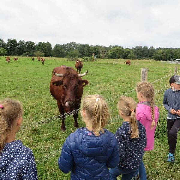 Ferienaktivwochen Sommer 2021 Foto Nr. 180