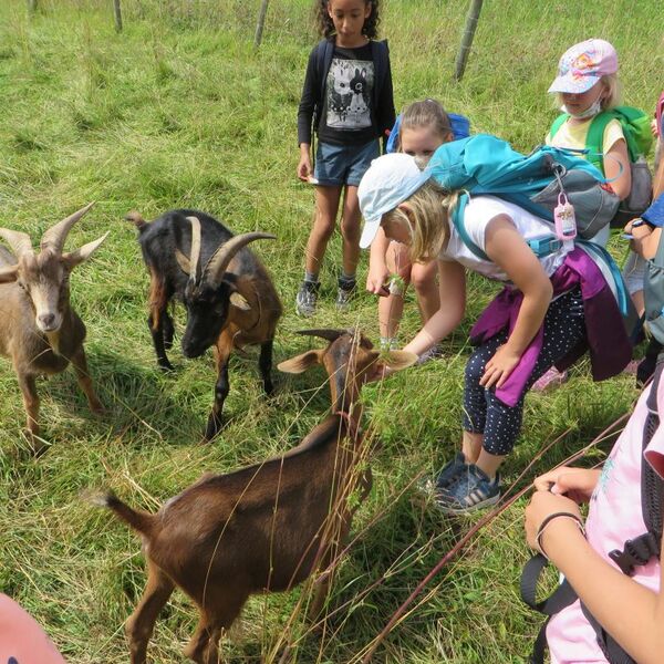 Ferienaktivwochen Sommer 2021 Foto Nr. 48