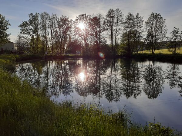 Fischteich in Dietershausen