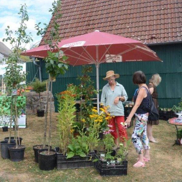 Florafest und Eröffnung KulturZeitRaum 2018 25