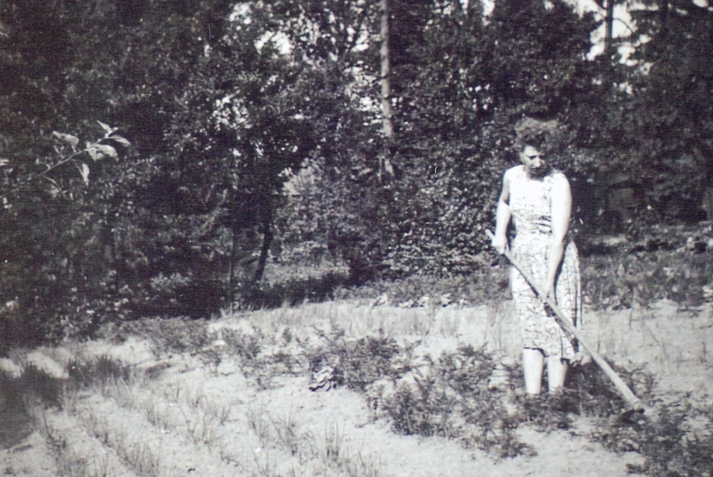 Gartenarbeit auf dem Hof