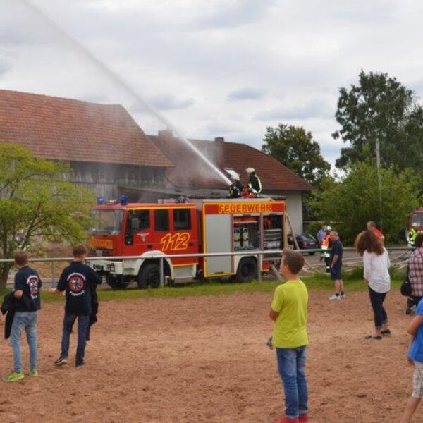 Gemeindefeuerwehrtag 2016 12