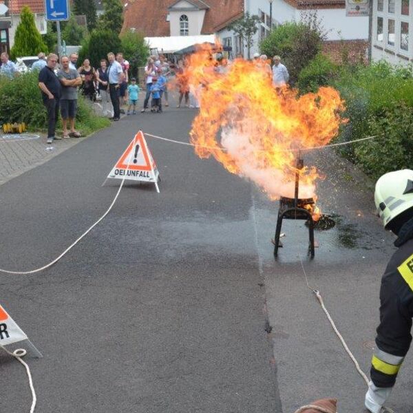 Gemeindefeuerwehrtag 2016 14