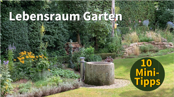 Lebensraum Garten 10 Tipps