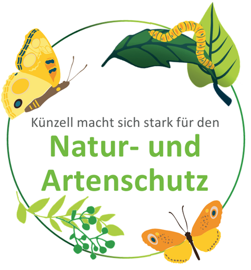 Logo 2025