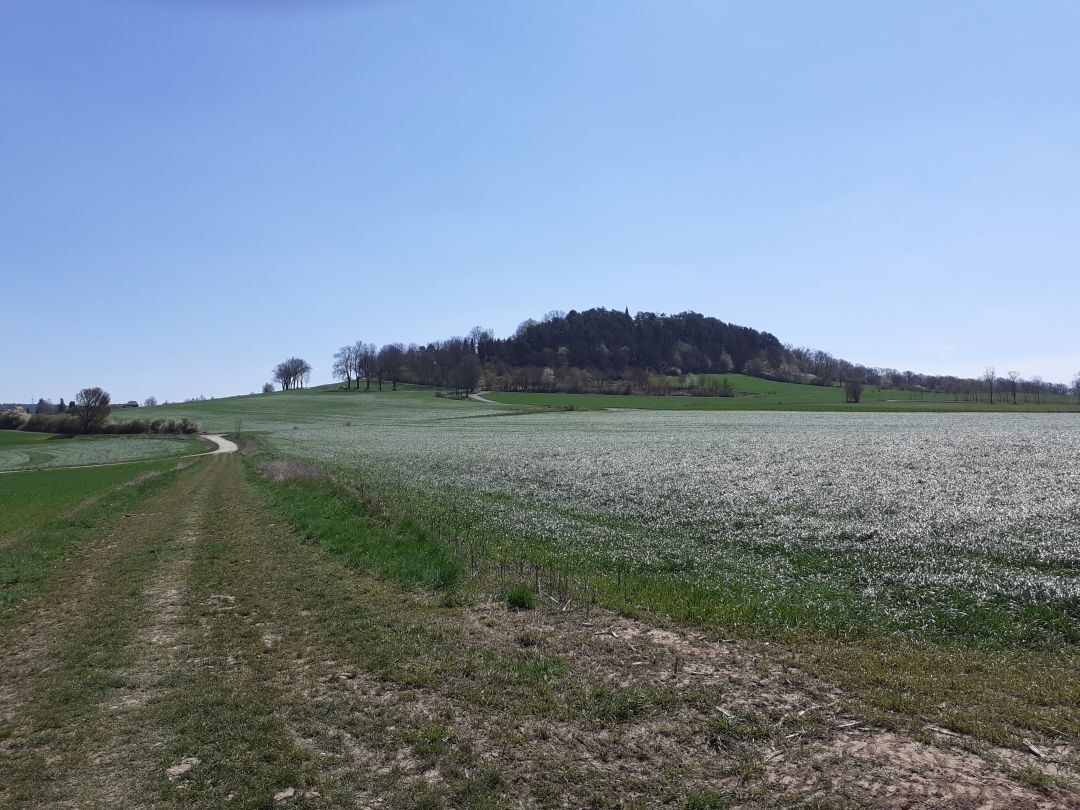 Panorama-Radrunde Foto Nr. 2