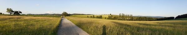 Rhönpanorama Richtung Dassen/Dietershausen