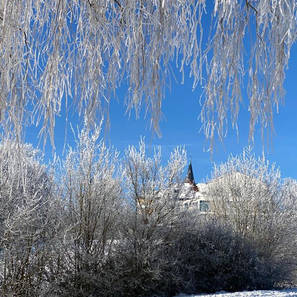Winter auf dem Florenberg Foto Nr. 10