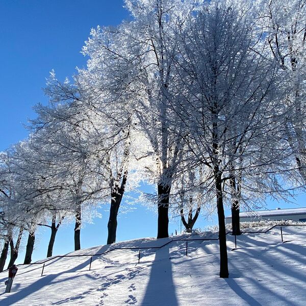 Winter auf dem Florenberg Foto Nr. 15