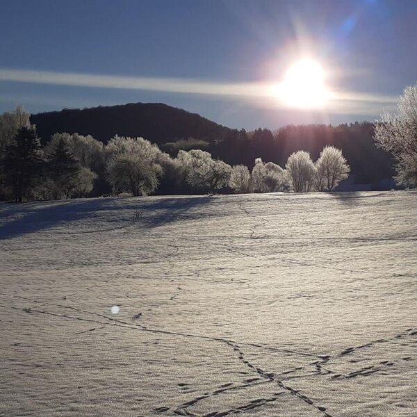 Winter in Dietershausen Foto Nr. 3