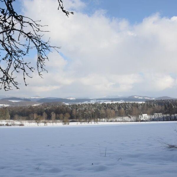 Winter in Künzell Impression Nr. 5